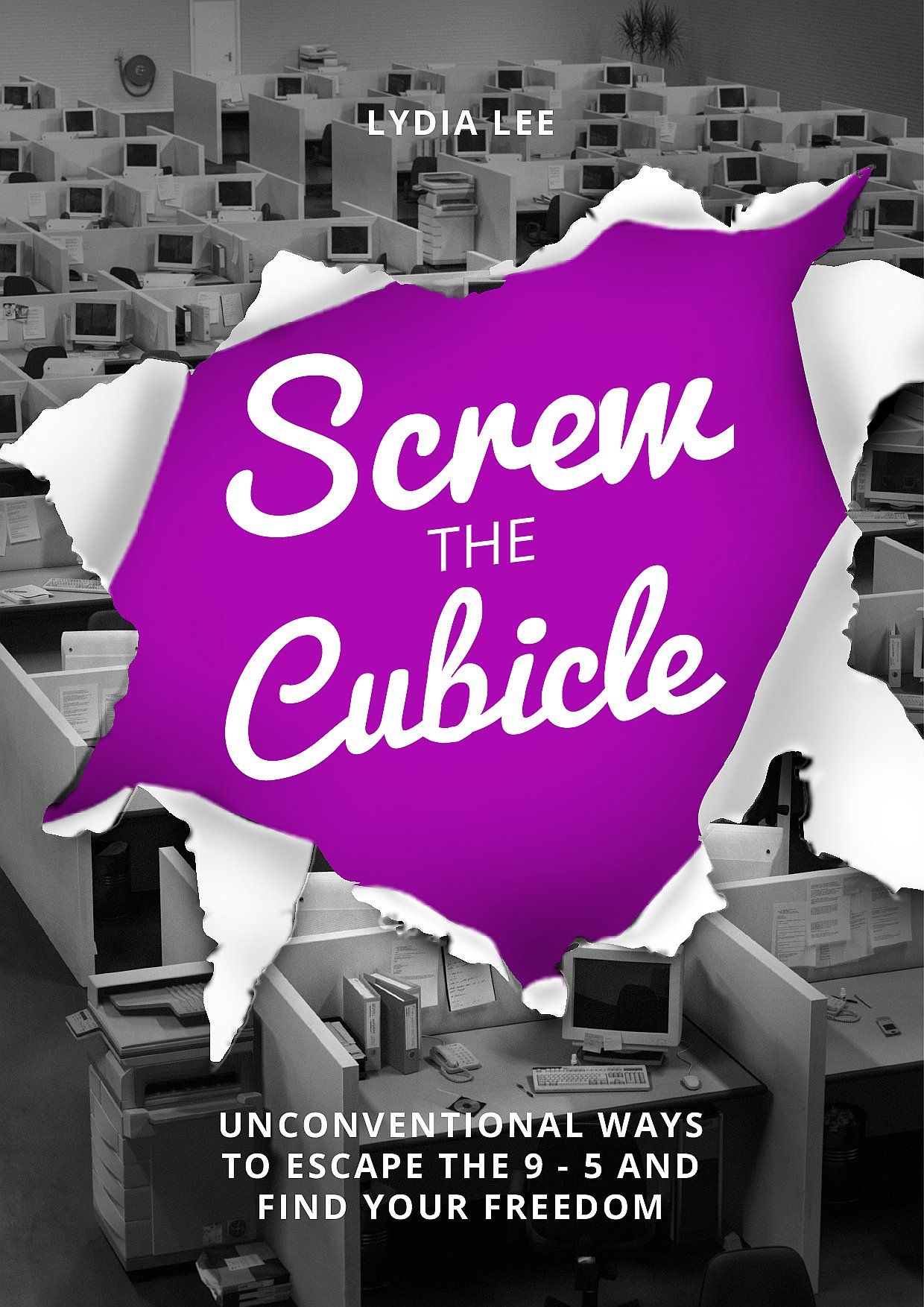 Screw The Cubicle By Lydia Lee Publishizer