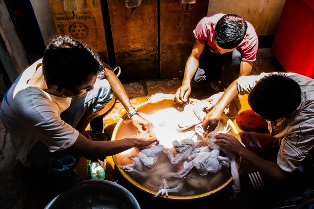 The boys preparing the chickens for dinner